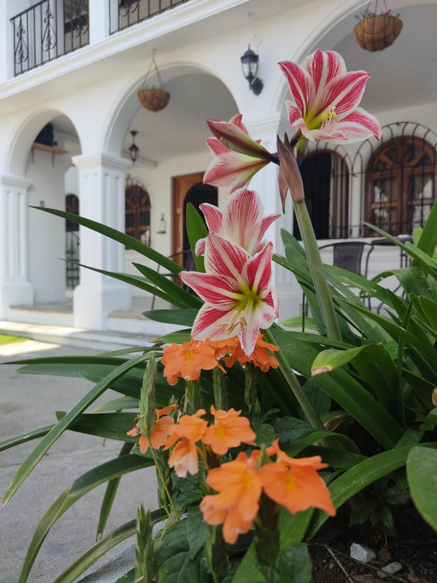 Blue Moon Guest house *