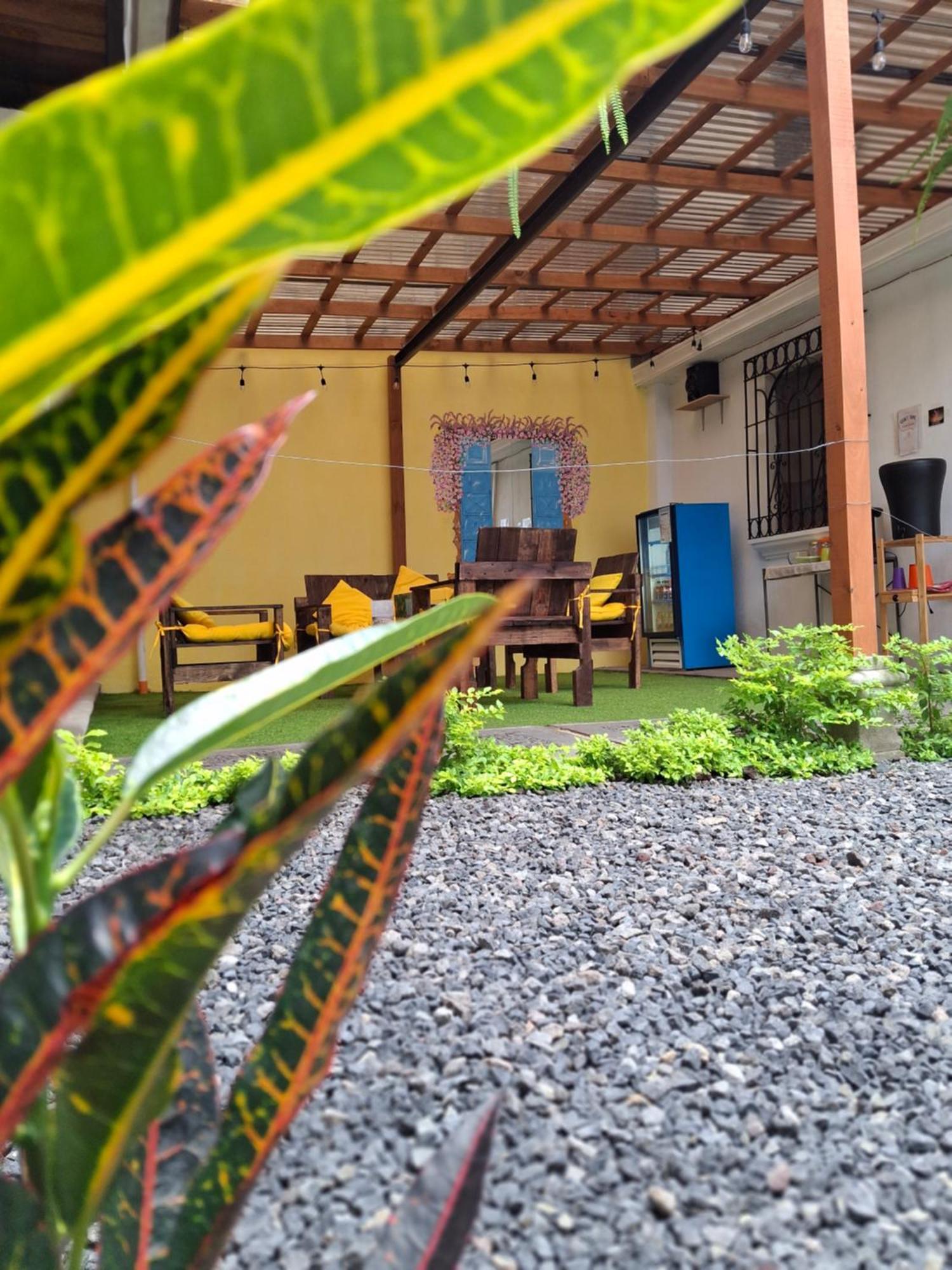 Blue Moon Guest house *